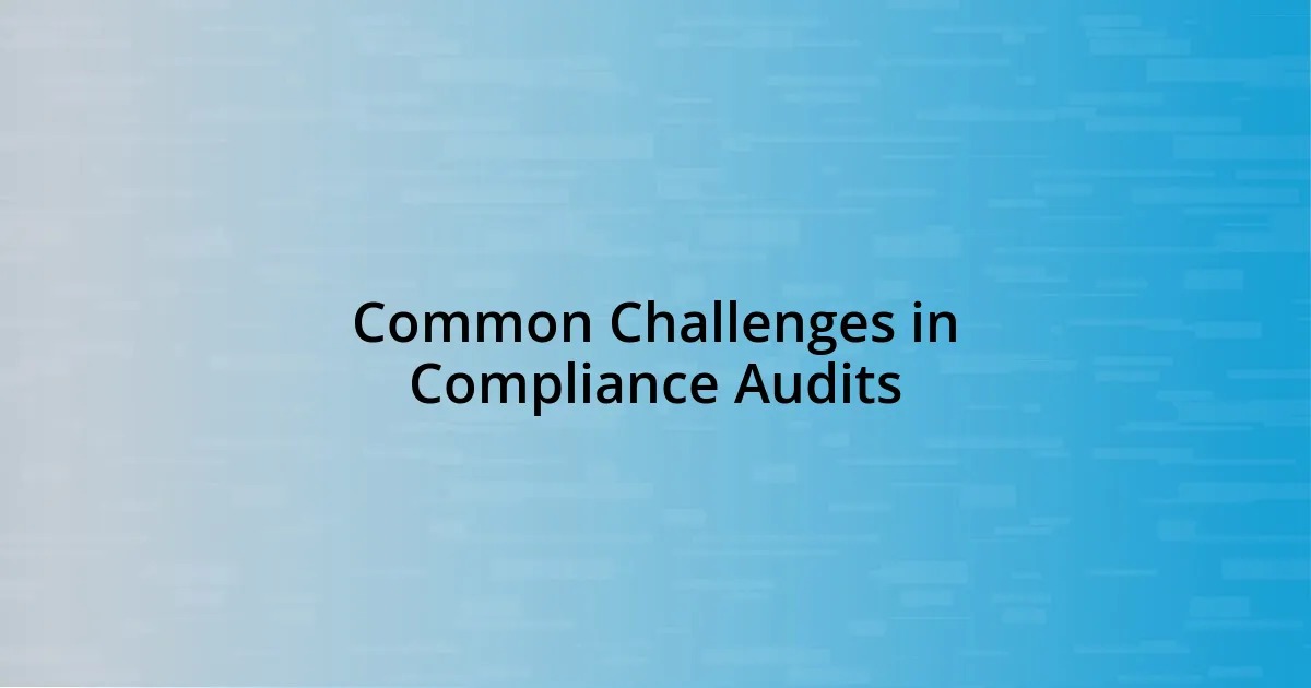 Common Challenges in Compliance Audits